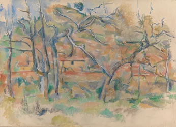 Alberi e casa, Provenza